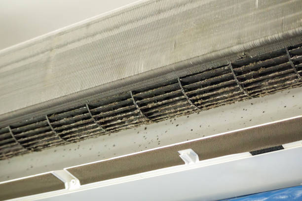 Best Air Duct Cleaning Company Near Me  in Deenwood, GA